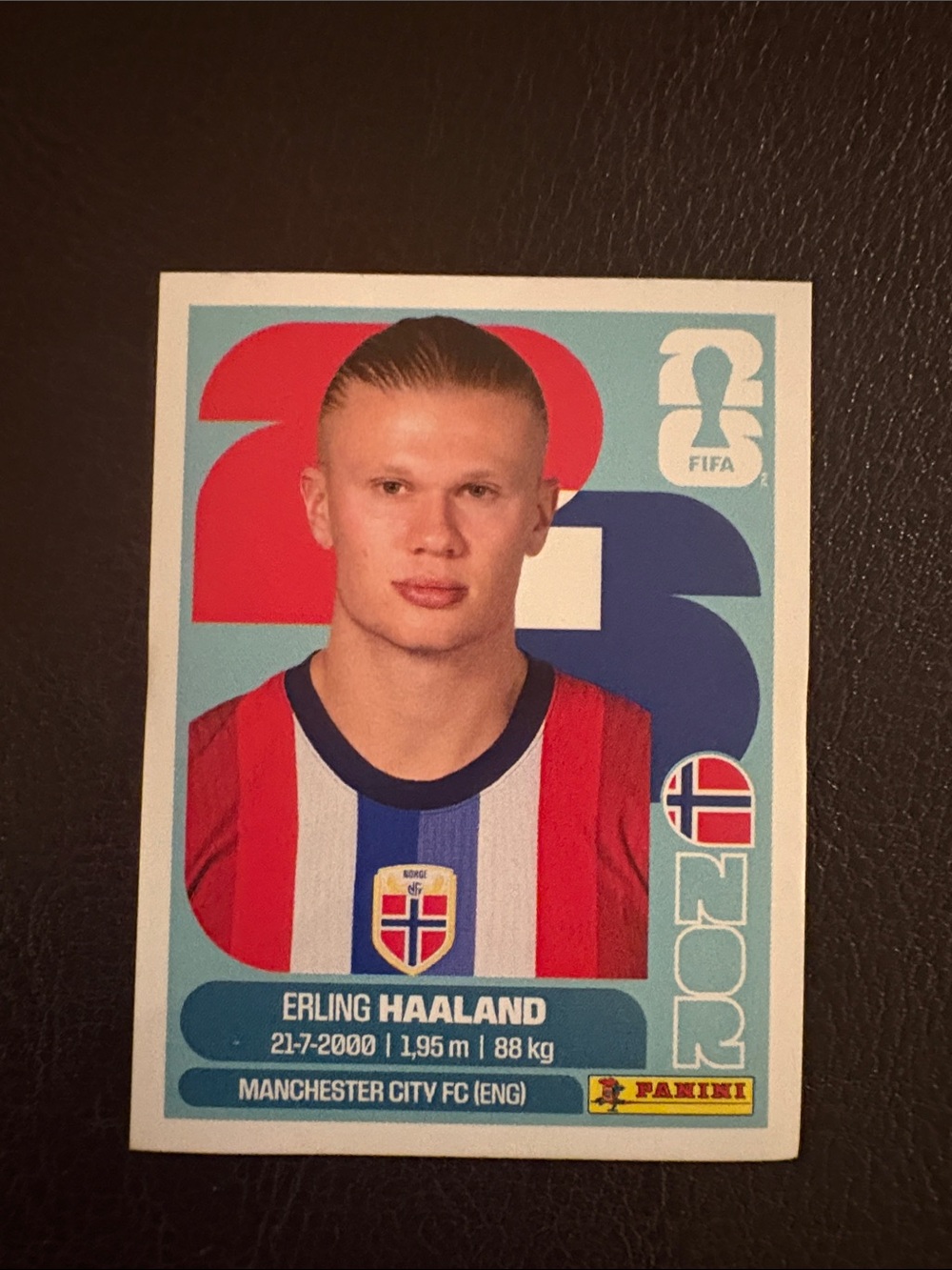 Panini Erling Haaland Panini Sticker 🇳🇴